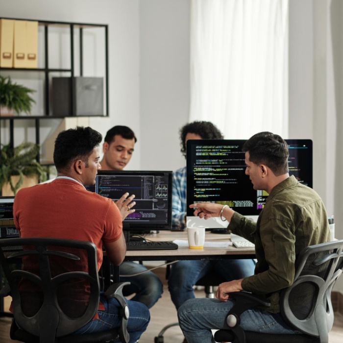 Software Outsourcing Services